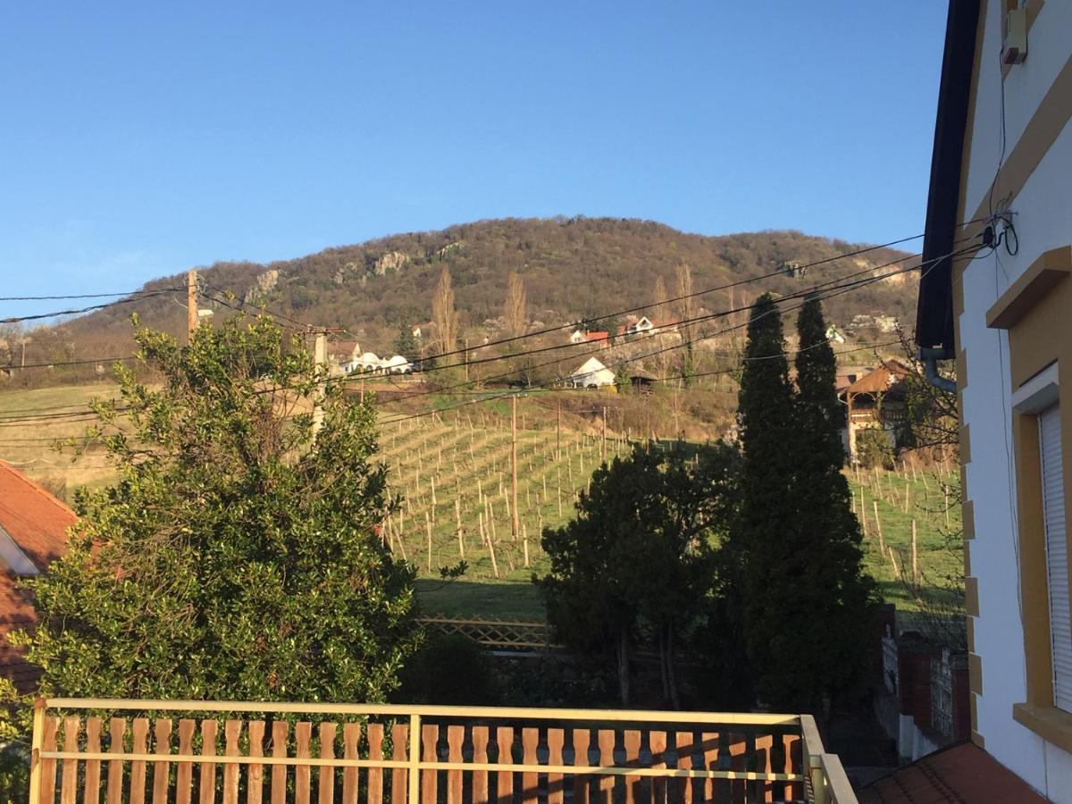 Bacchus Apartman - Borbarlang, Badacsony Badacsonytomaj Bagian luar foto