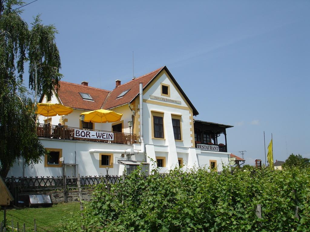 Bacchus Apartman - Borbarlang, Badacsony Badacsonytomaj Bagian luar foto