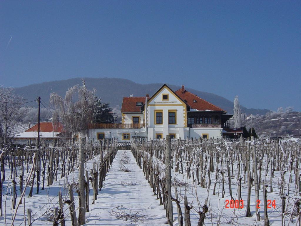 Bacchus Apartman - Borbarlang, Badacsony Badacsonytomaj Bagian luar foto