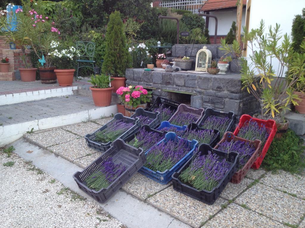 Bacchus Apartman - Borbarlang, Badacsony Badacsonytomaj Bagian luar foto