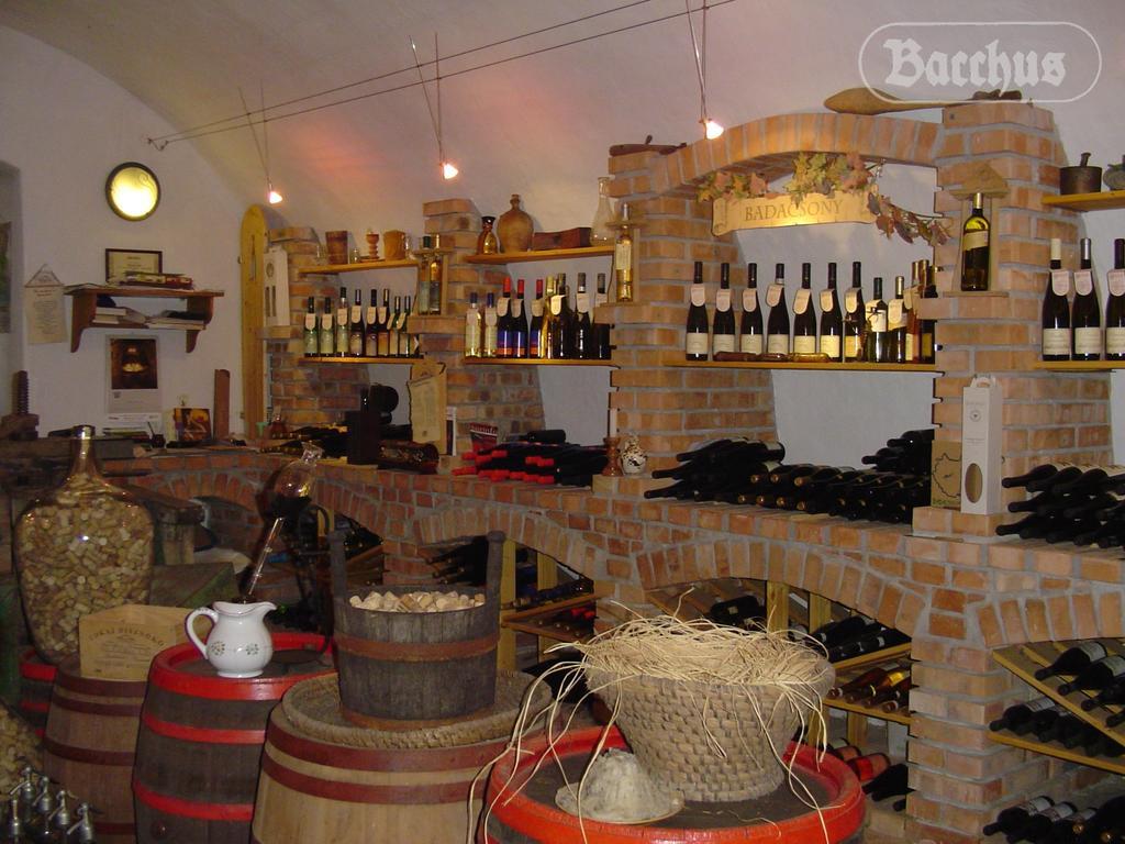 Bacchus Apartman - Borbarlang, Badacsony Badacsonytomaj Bagian luar foto